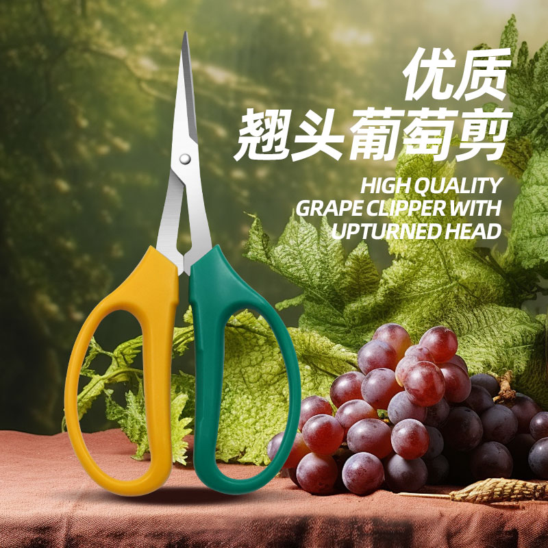 葡萄专用剪刀翘头园艺剪刀摘果剪