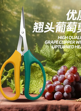 翘头葡萄蔬果剪刀阳光玫瑰蔬花剪子葡萄专用剪不锈钢花椒采摘包邮