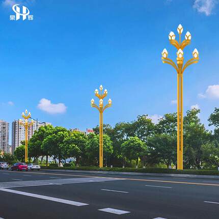6/7/8米八叉九火大型景观灯玉兰灯市政道路照明led灯超亮装饰灯