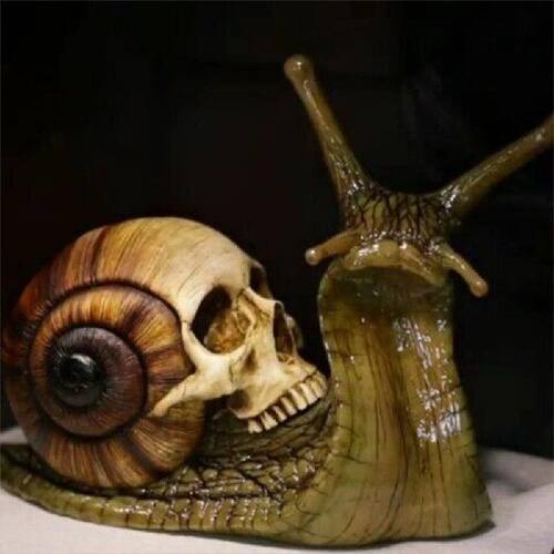 好货Snail Skull Sculpture Gothic Decoration,Snail Statue Pat