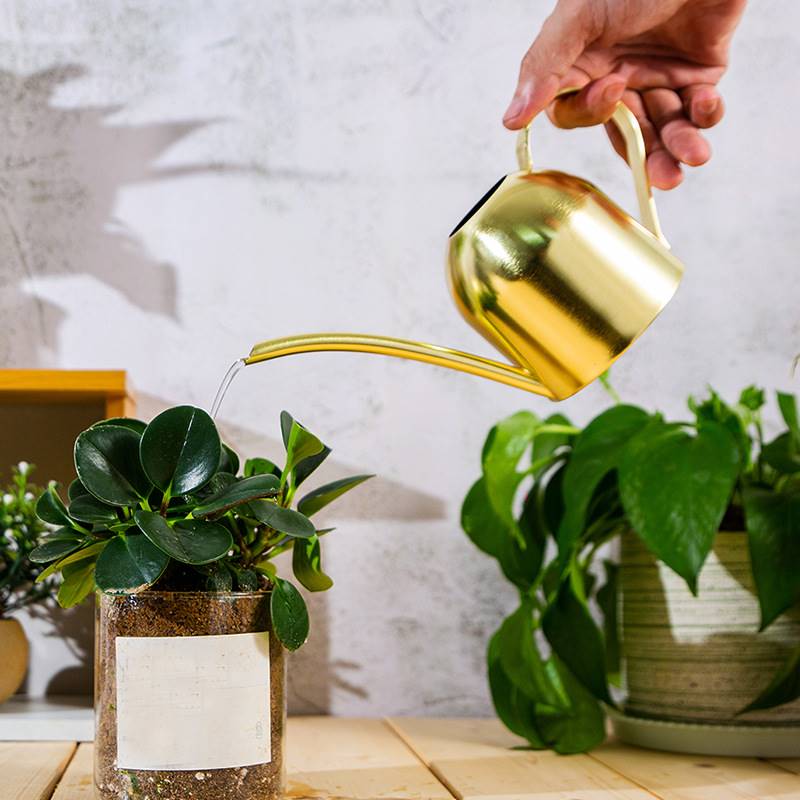 喷壶浇花不锈钢长嘴壶金属绿植喷水壶金色浇水壶小型洒水壶园艺50