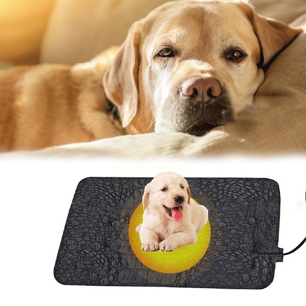 新品Usb Pet Heating Pad Warm Paste Pads Reptile Electric Sup