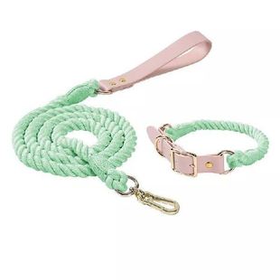 Colorful pu Leather dog Collars Pet Dog Leash Lead For