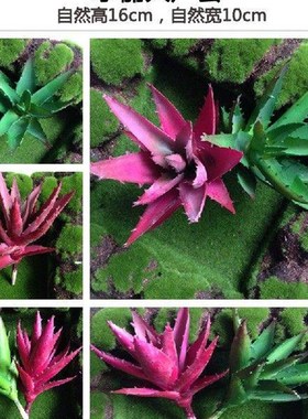 NuoNuoWell Artificial Aloe Plastic Succulents Plants