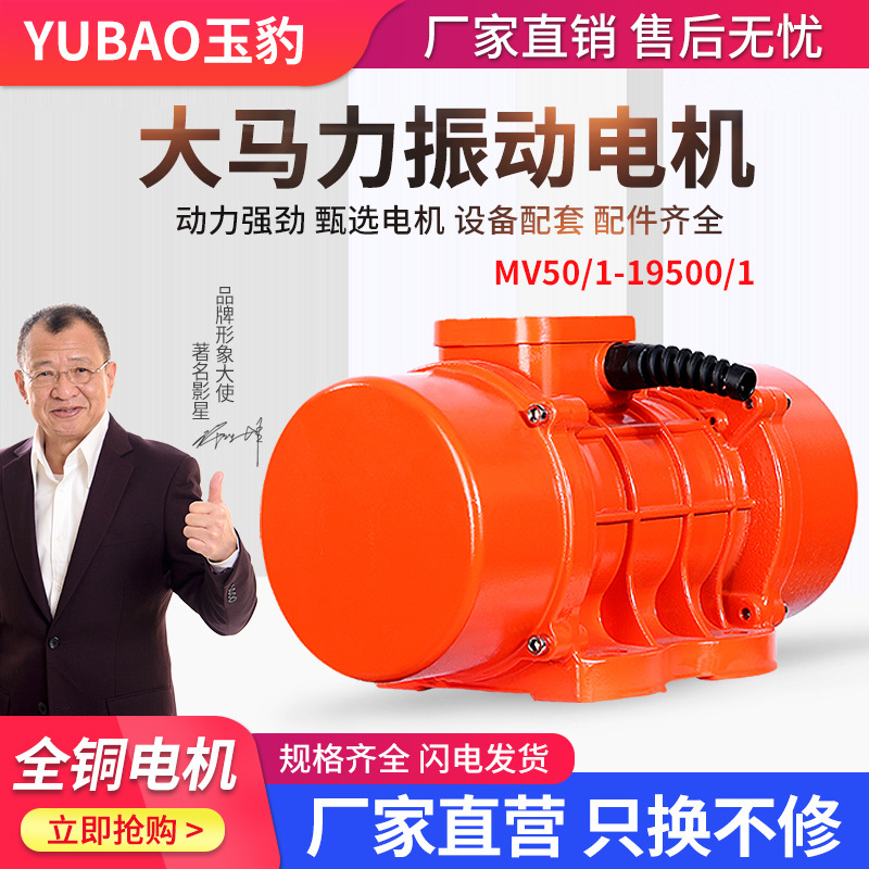 MV50/1-19500/1工业振动电机380v三相异步震动电机下料振动器国标