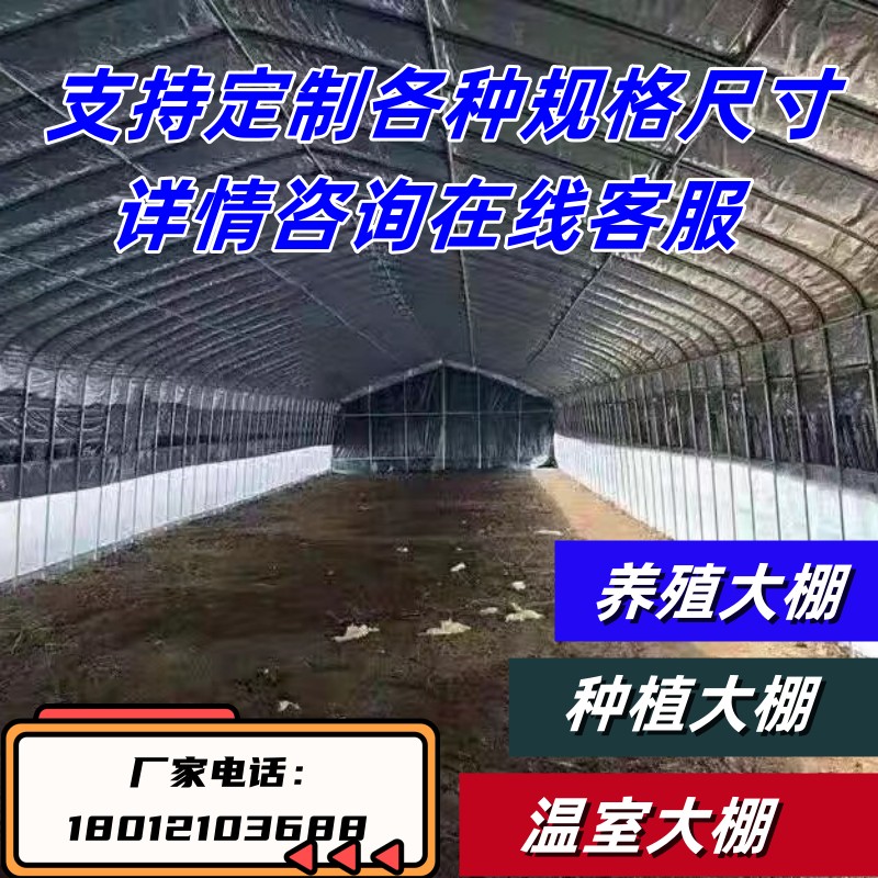 新品养殖大棚隔热保温鸡鹅猪牛养殖温室大棚椭圆管温室钢管骨架大