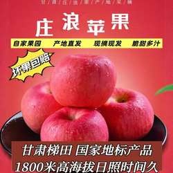 甘肃庄浪苹果10斤孕妇水果当季不打蜡脆甜红富士精品现摘现发水果