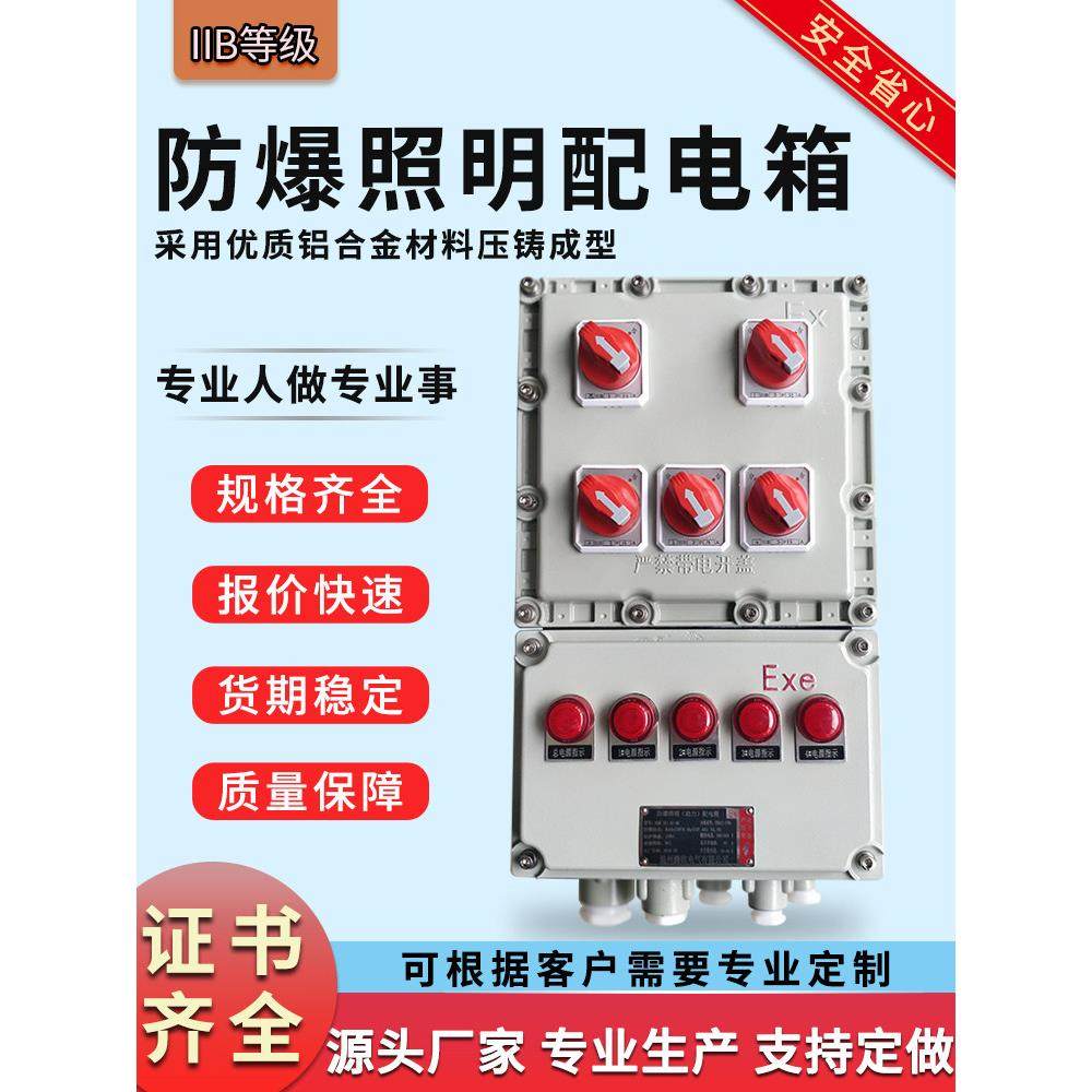 防爆照明配电箱BXMD-5/K25A检修动力配电柜开关电源接线盒防爆箱,五金/工具,防爆电气,淘宝优惠券,粉丝福利购,淘宝优惠卷