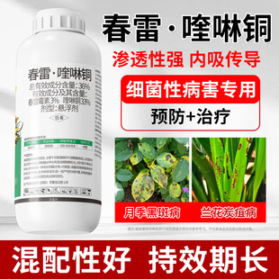 春雷霉素喹啉酮杀菌剂月季兰花多肉盆栽绿植黑斑炭疽多肉叶斑病药