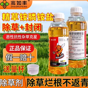 除草剂强力除草烂根剂一扫光高浓度新型除草神器 精草铵磷铵盐正品