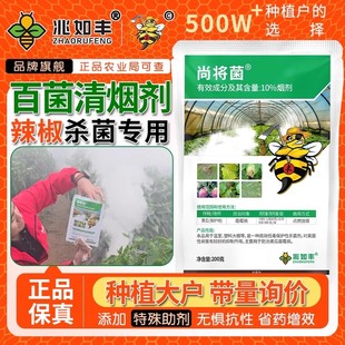 尚将菌百菌清烟剂果蔬大棚抗性白粉辣椒霜霉病疫病烟熏烟雾杀菌剂
