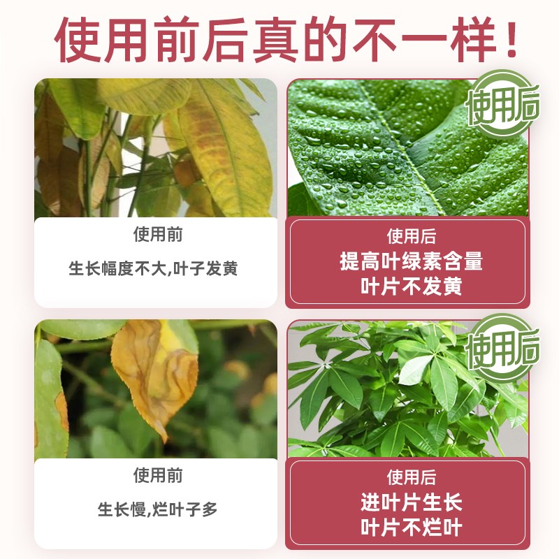 发财树营养液肥料专用肥治叶子发黄掉叶烂根室内盆栽植物花肥通用