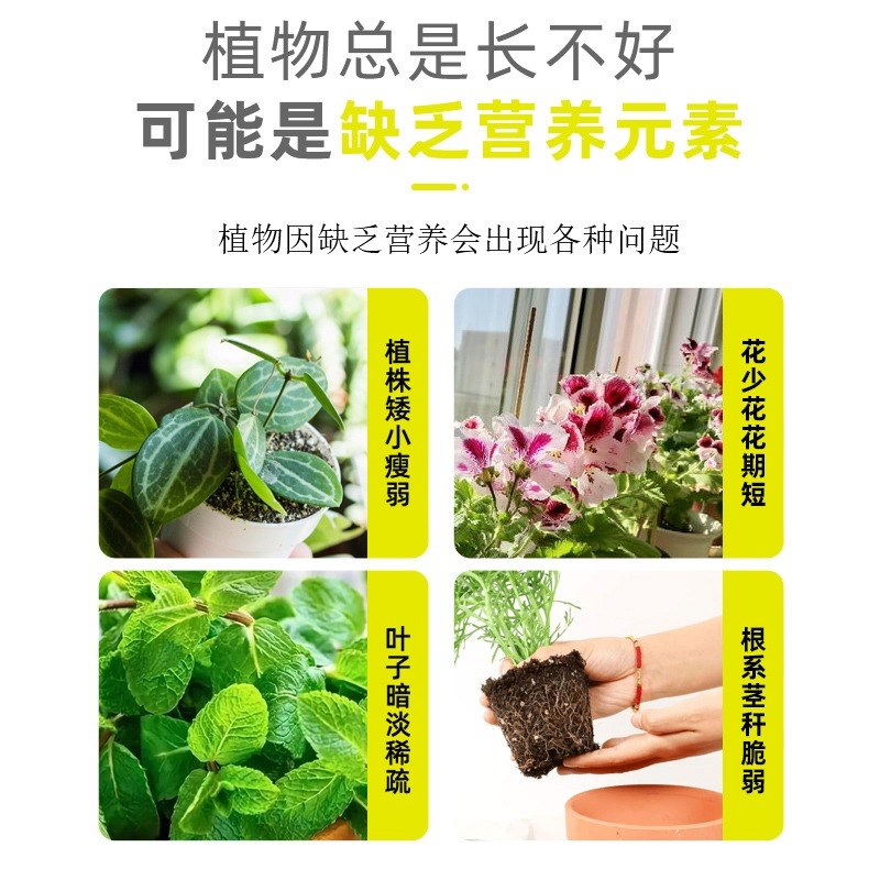 植物缓释棒营养棒花肥料养花通用型家用多肉月季绿植盆栽缓释片肥