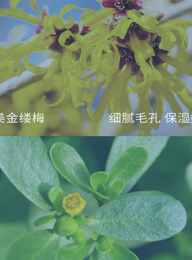 Body Odor Sweat Deodor Rose Perfume For Man And Woman Remove