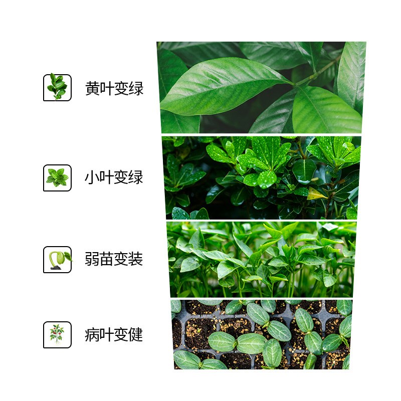 绿叶素催花绿叶油亮家庭园艺防黄叶掉叶提苗壮棵生根壮苗叶片增绿