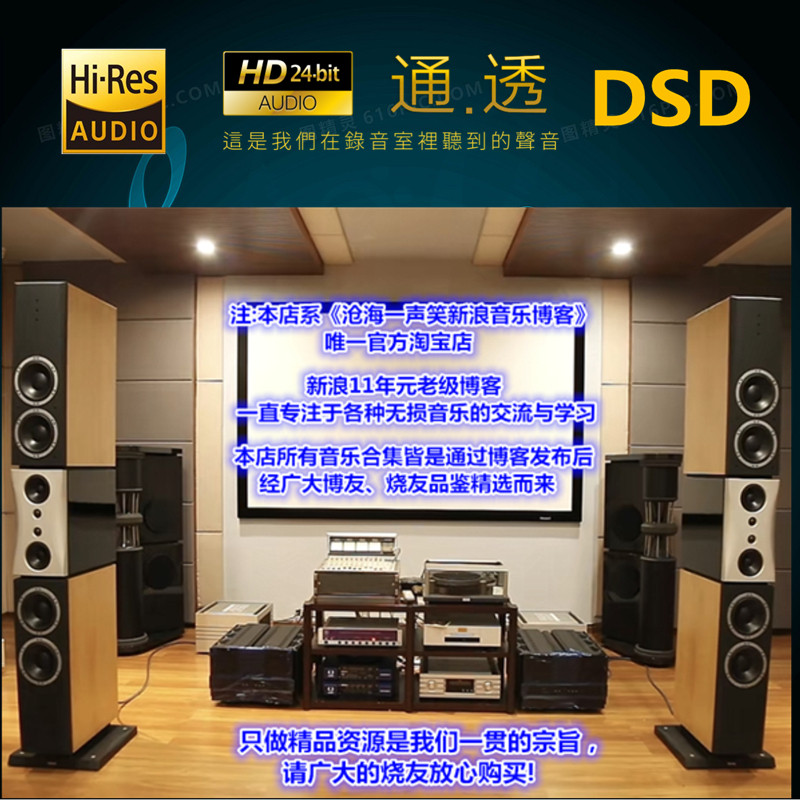 488张华语2018新歌无失真音乐DSD音源24bit HiRes 2019发烧母带歌
