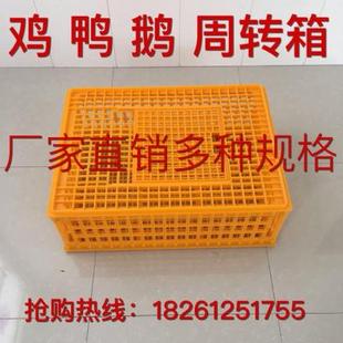 包邮 鸡笼周转箱鸡用运输框成鸡鸭周转筐鸽兔用运输鸡笼子塑料