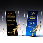 水晶奖牌定制定做木质铜牌授权牌加盟商金属奖杯订制金箔牌匾