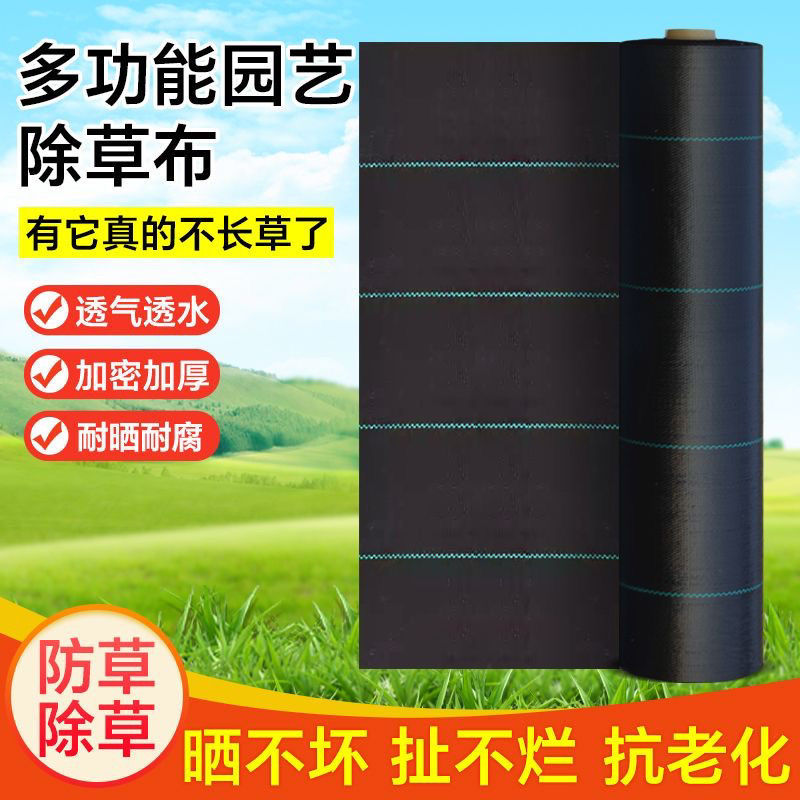 草地批发打孔抗老化盖菜农用果园防草布树地布庭院黑色生态遮草布
