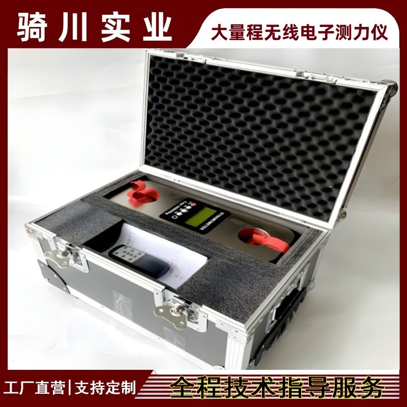 CLY-C10数显手持测力计50t/100T