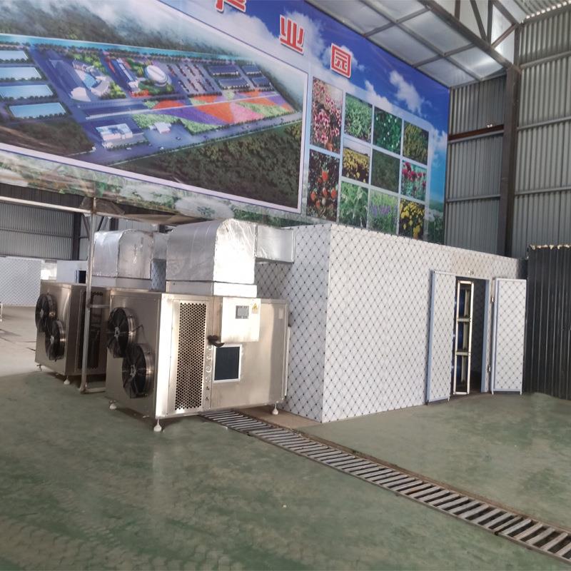 商用大型低温柠檬水果茶烘干箱芒果烘干机百香果金桔片烘干设备