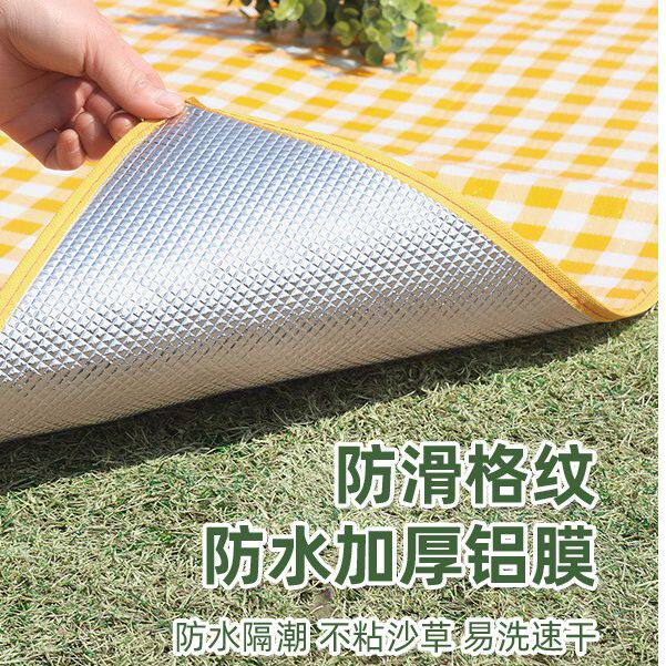 野餐垫户外徒步休闲公园坐垫加厚带野外野炊垫露营帐篷防潮