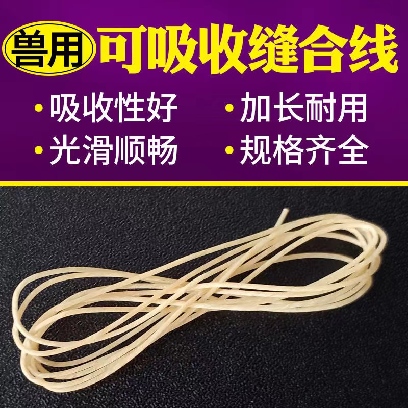 兽用可吸收缝合线外科宠物猪牛蛋白线羊肠埋线可吸收性肉线