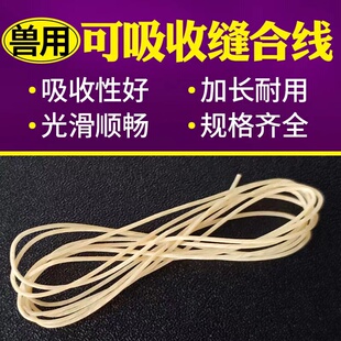 兽用可吸收缝合线外科宠物猪牛蛋白线羊肠埋线可吸收性肉线