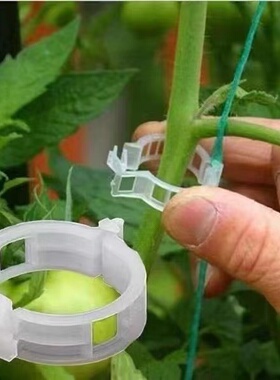 黄瓜西红柿豆角绑枝固定夹绿植蔬菜捆绑扎带藤蔓专用自动扣绑枝机