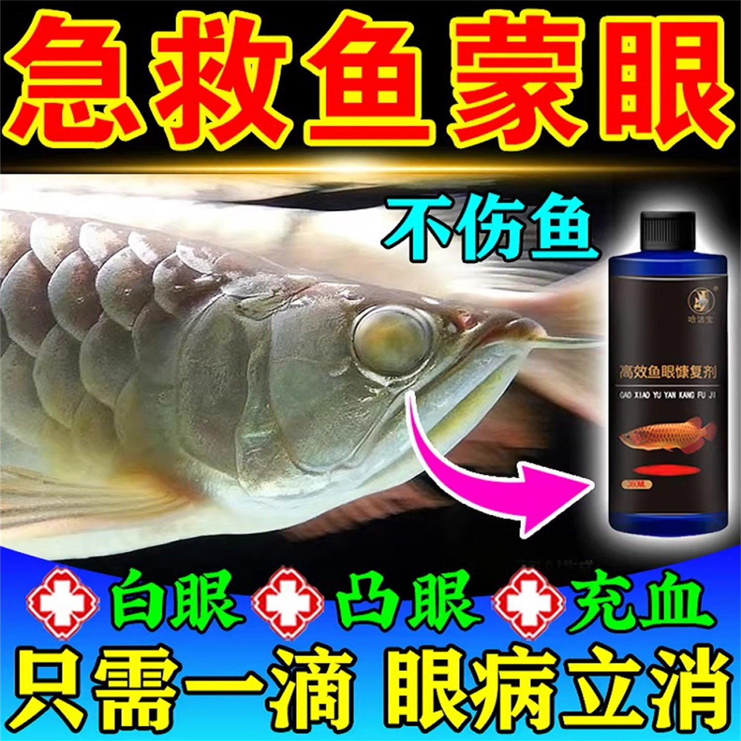 治鱼病的药鱼白眼病金鱼龙鱼蒙眼专用药肿胀充血观赏鱼突眼万能药