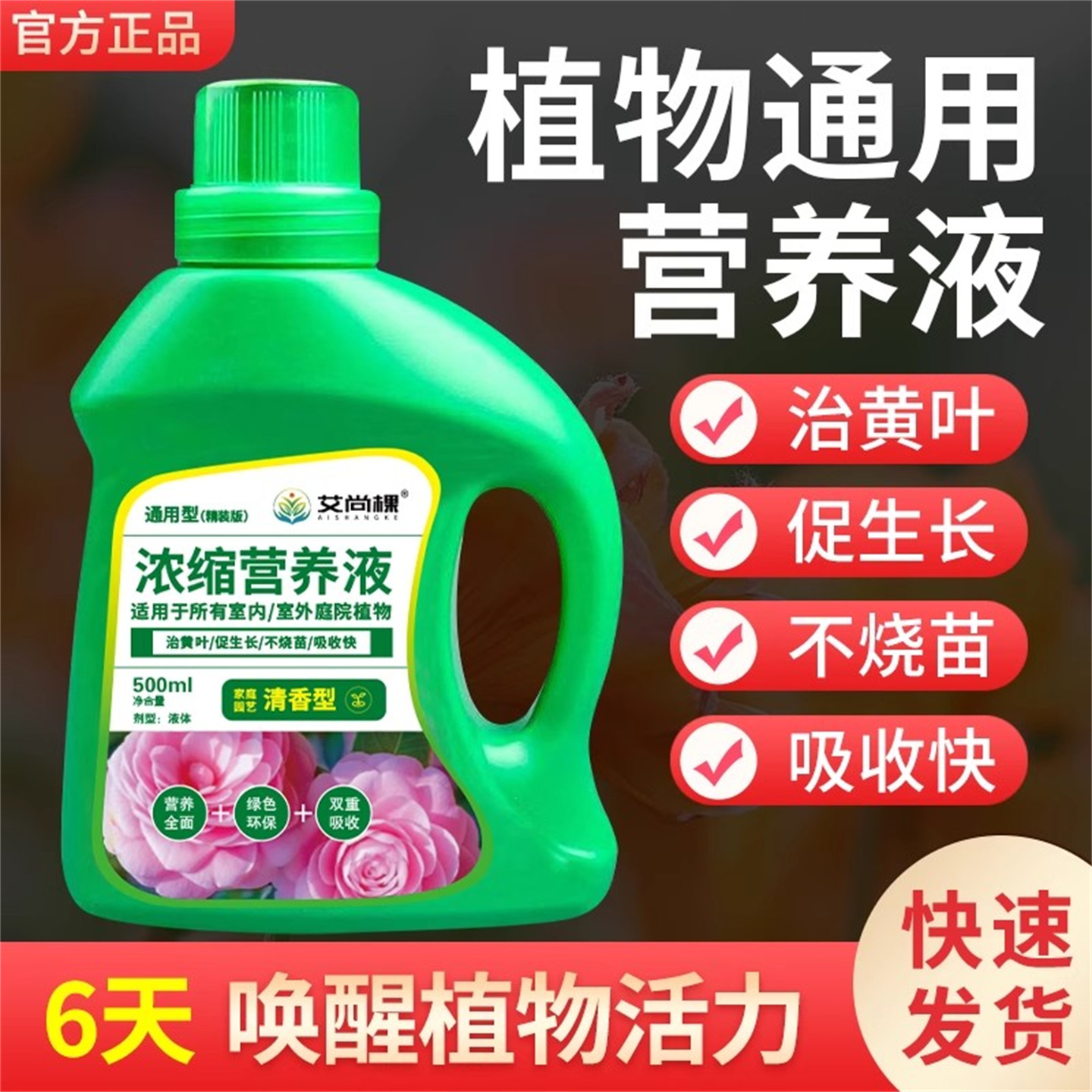 植物营养液通用型绿植僵苗黄叶