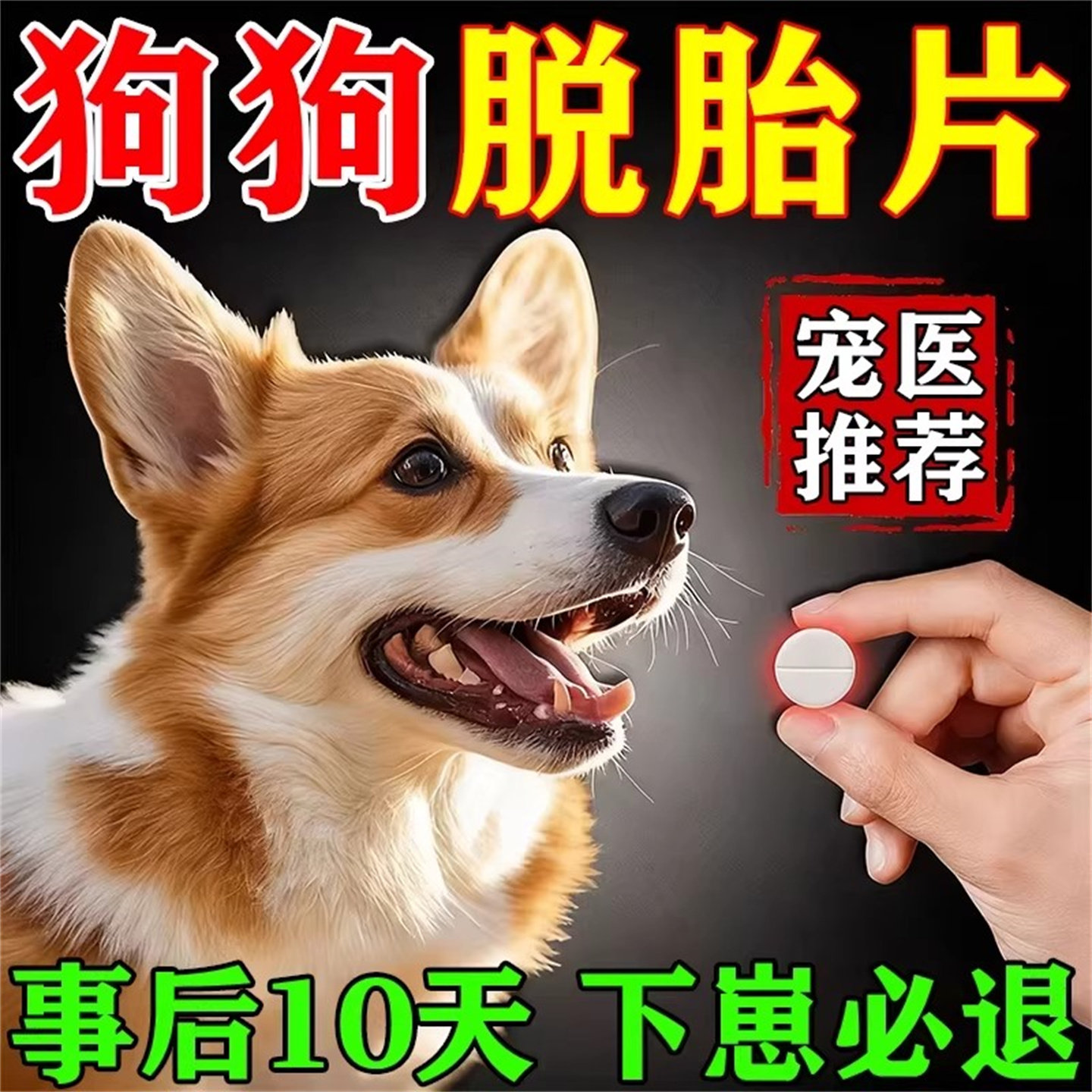 狗狗脱胎药跺猫咪狗狗避母狗事后