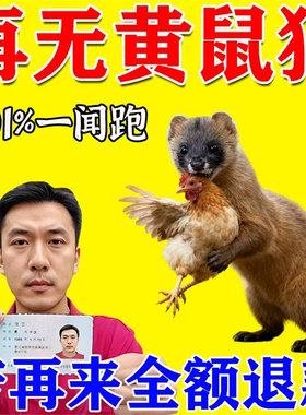 驱黄鼠狼专用药养鸡防黄鼠狼神