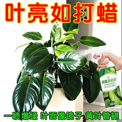 【叶片一喷净】面光亮剂花