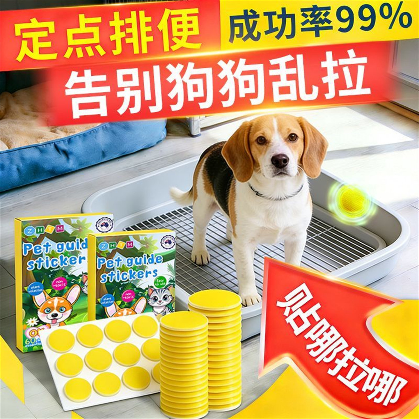 狗狗定点上厕所神器比熊排便诱导