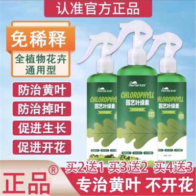 品质植物护理营养液欣赏绿