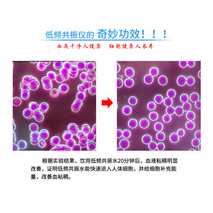 量子光波净水器7.8HZ低频共振活水仪直饮太赫兹功能水赠富氢水杯