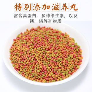 魔宠乐 玄凤鹦鹉饲料鸟粮专用鸟食小太阳鹦鹉牡丹中小型粮食食物