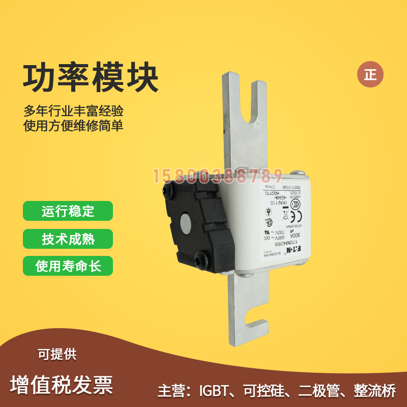 适用170M4266/4267/4268/4269/4308/4309/4310/4311快速保险丝熔