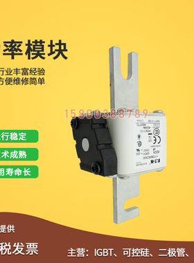 适用170M4266/4267/4268/4269/4308/4309/4310/4311快速保险丝熔