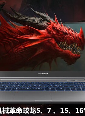 神舟ZX7-CT5DA CP7S2 CP5S2笔记本充电线战神G8-CU7PK电源配接器