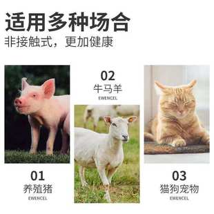 新品兽用体温枪猪用牛羊马测温仪红外线高精度充电款体温计猫咪狗