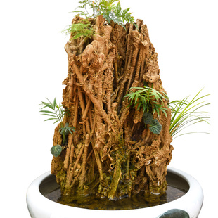 天然芦管石钟乳石吸水石原石上水石假山大型盆景摆件植物化石直播