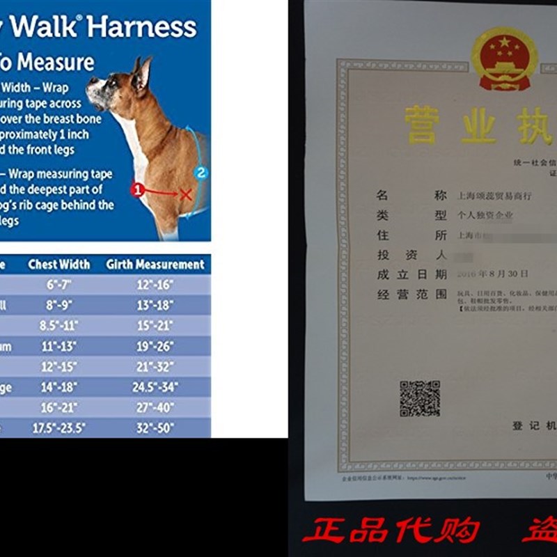 PetSafe Easy Walk Harness