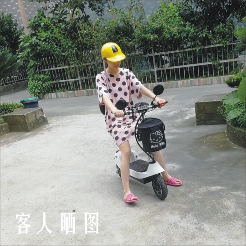 好货大海豚款两轮电动车成人女士代步双人锂电瓶车可折叠亲子迷你
