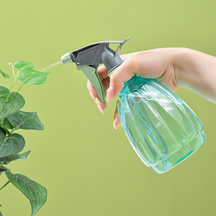 清洁塑料喷水壶小型雾化喷瓶 家用喷壶现货浇花消毒专用气压式