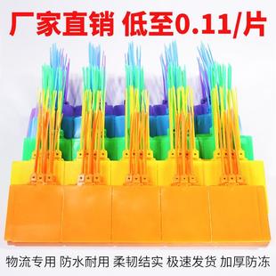 1000个物流吊牌挂签一体式 中通韵达安能快递快运塑料标牌扎带 包邮