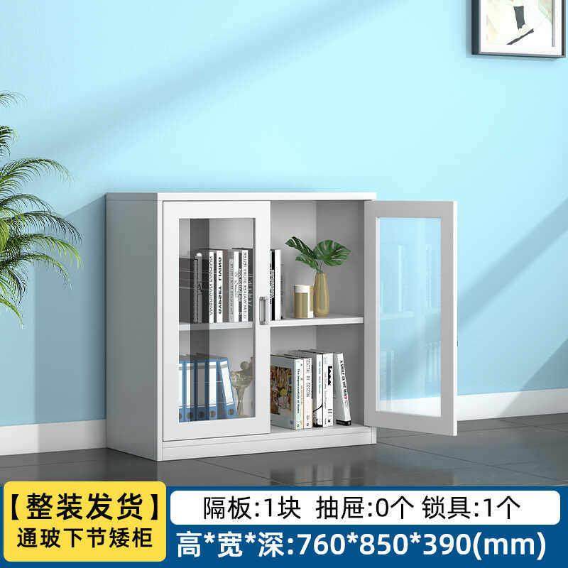 玻璃对开 门矮柜办公室铁皮文件柜资料档案柜带锁桌下收纳柜收纳