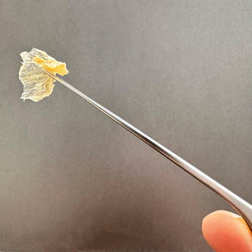 16厘米采耳镊子专业采耳工具夹耳屎夹异物夹子