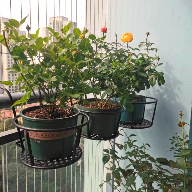 阳台栏杆花架加大悬挂加粗铁艺护栏挂篮吊兰盆栽架多肉月季置物架